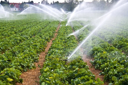 irrigation agriculture