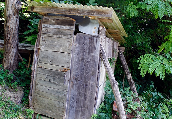 Cabane en bois dans la forêt