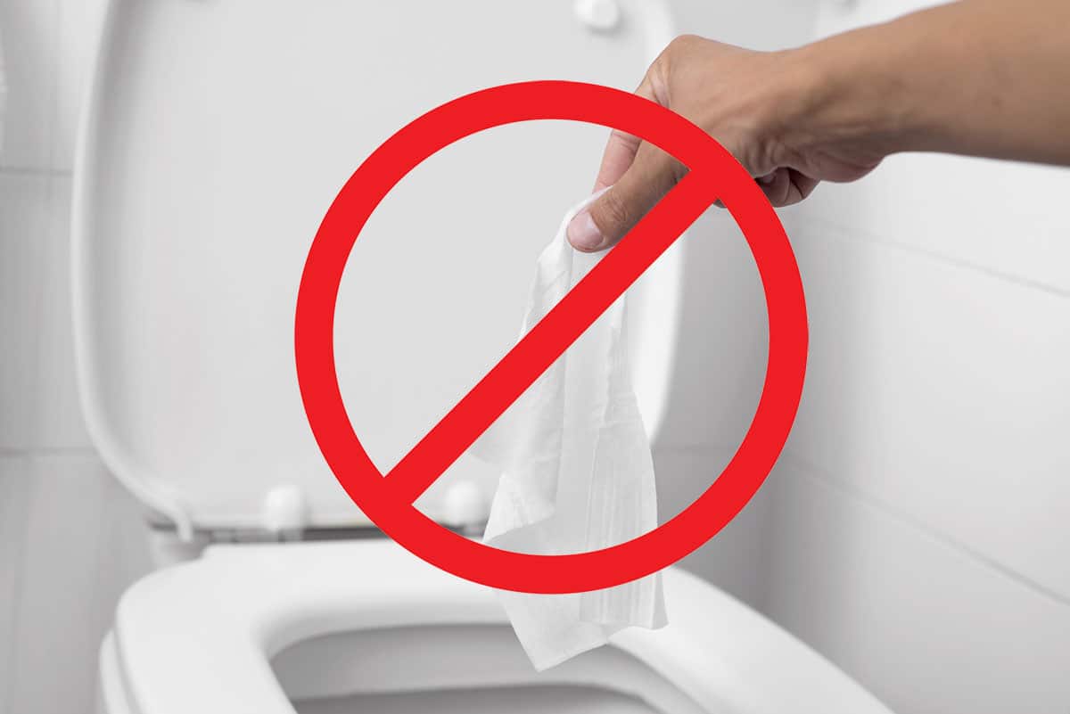 Lingettes désinfectantes : Nos toilettes ne sont pas des poubelles !