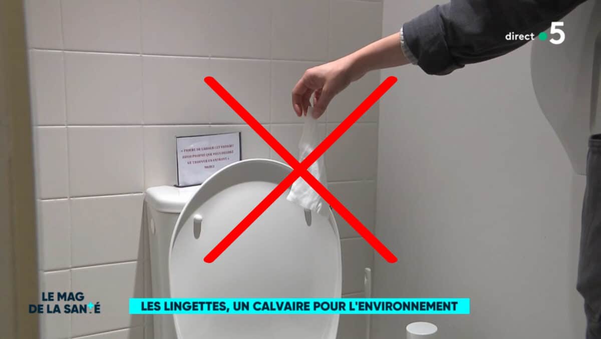 Les lingettes jetées dans les toilettes : « le fléau du réseau des eaux  usées »