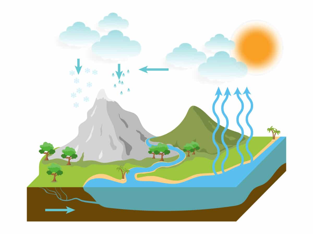 Quiz Cycle de l'eau